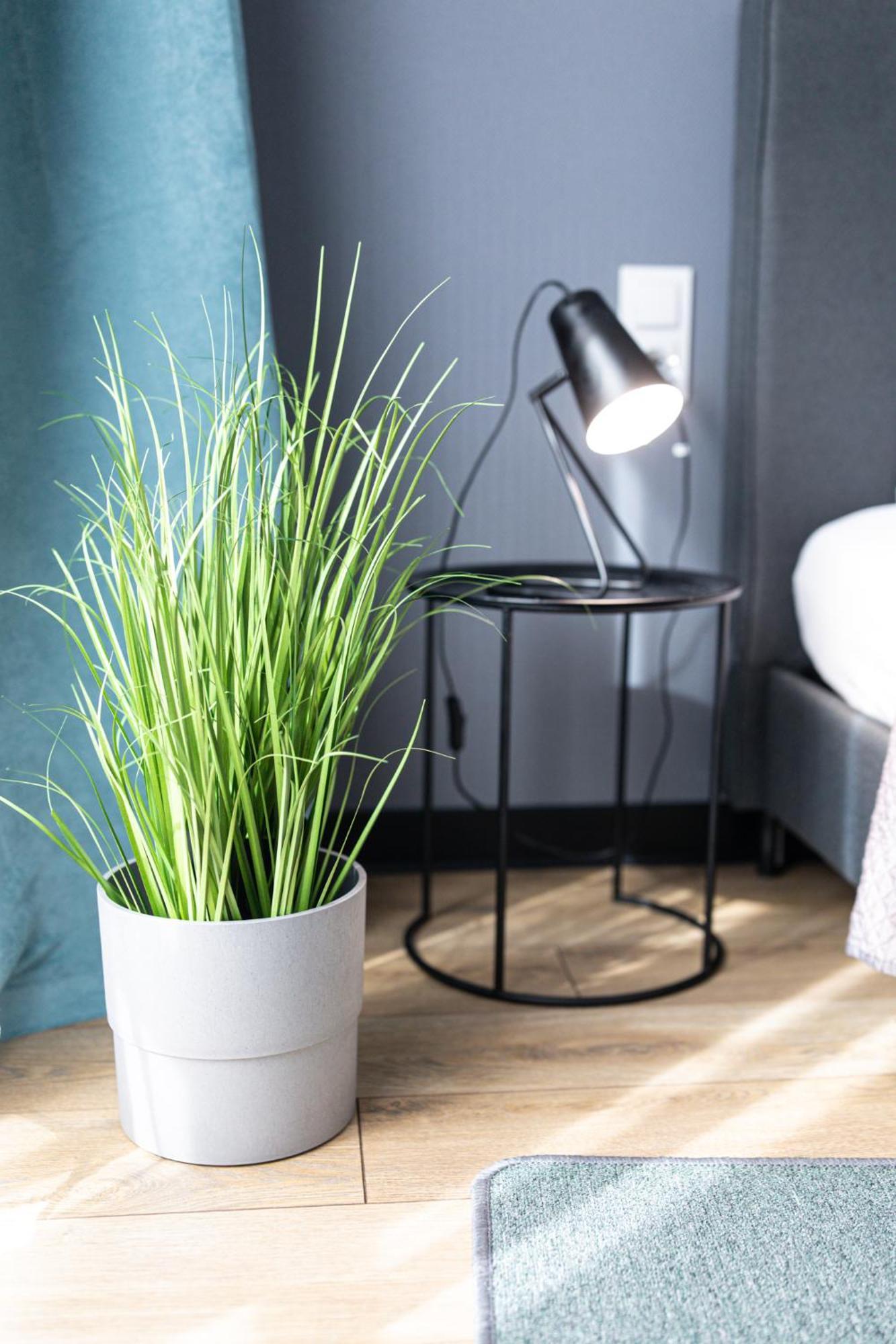 Lm Apartamenty Narutowicza Kamienica Nova 2-3 Szczecin Kültér fotó